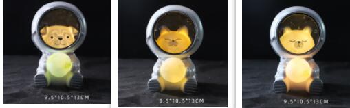 Cute Animal Astronaut night light