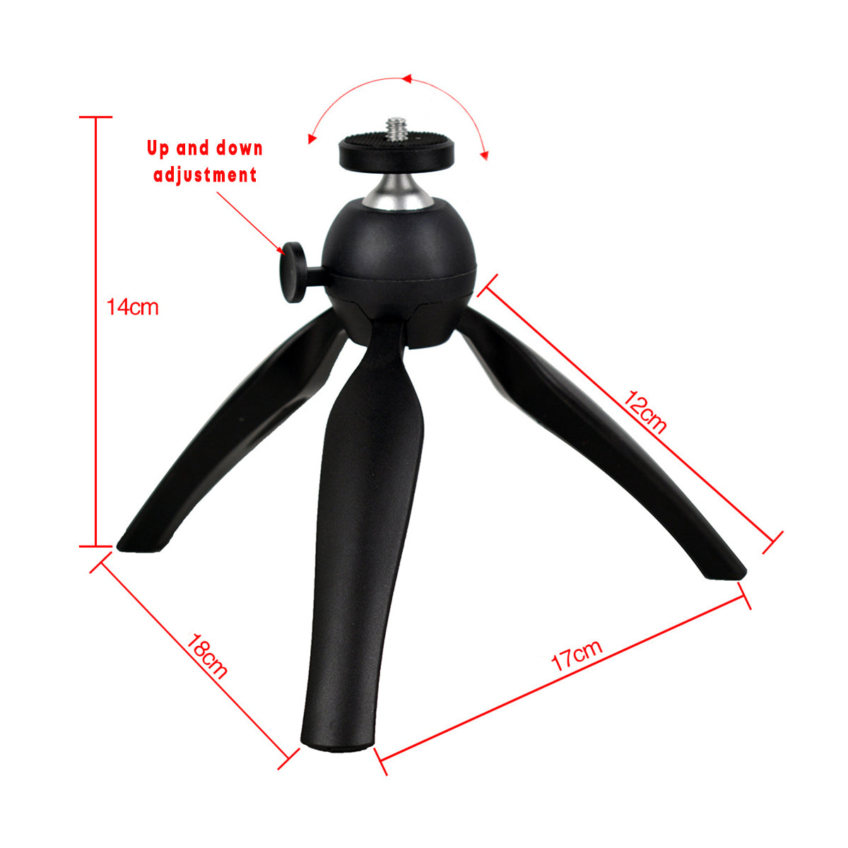 LED Makeup Ring Lamp and Phone Holder Tripod